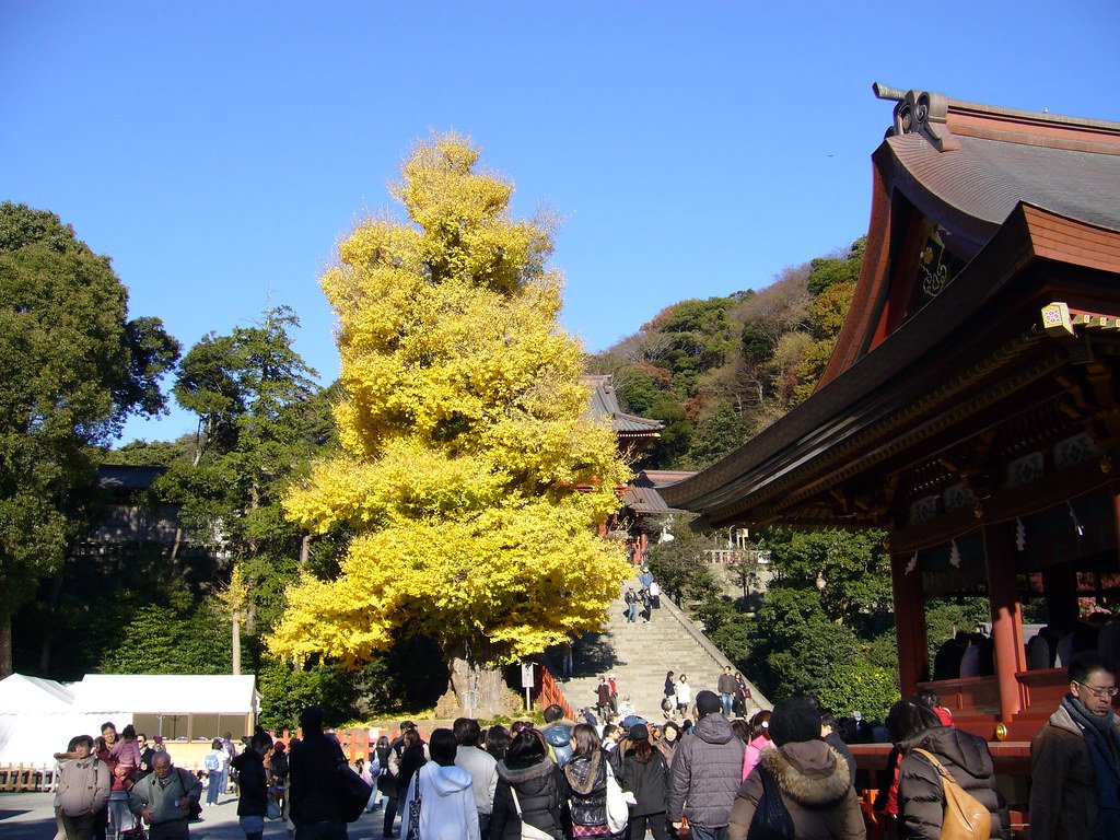⛩️ 가스카베 하치만 신사(가스카베 하치만 진자) 이미지 6